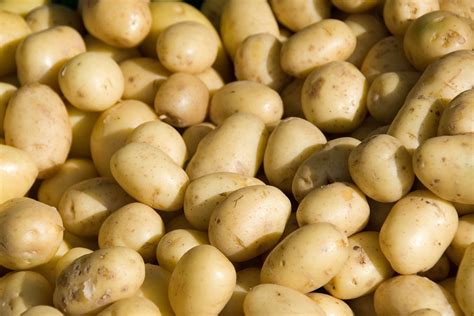 why dry matter in potatoes